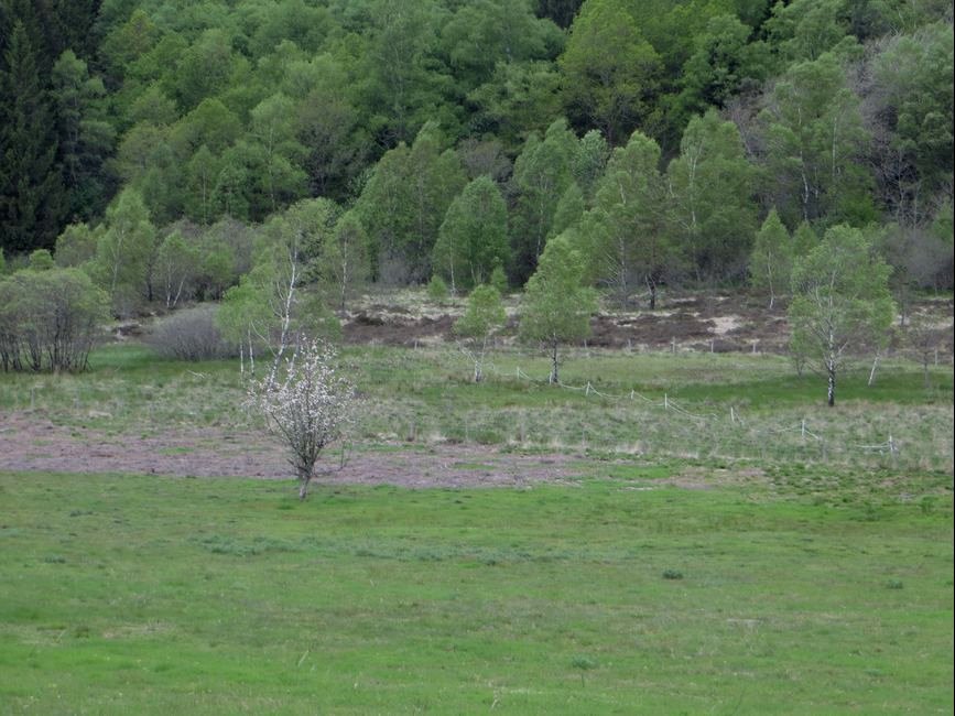 photo du diaporama