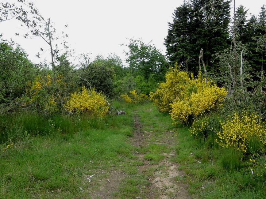 photo du diaporama