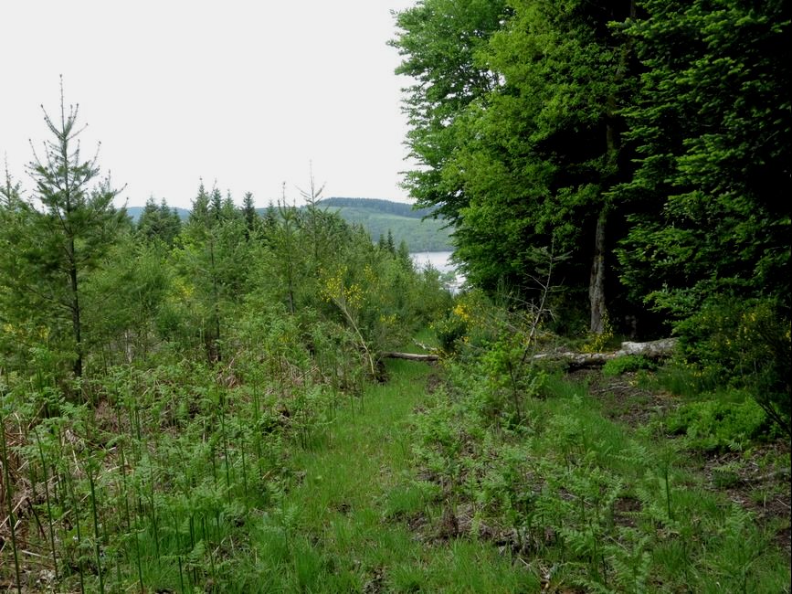 photo du diaporama