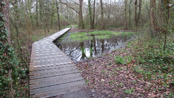 photo de la randonn�e