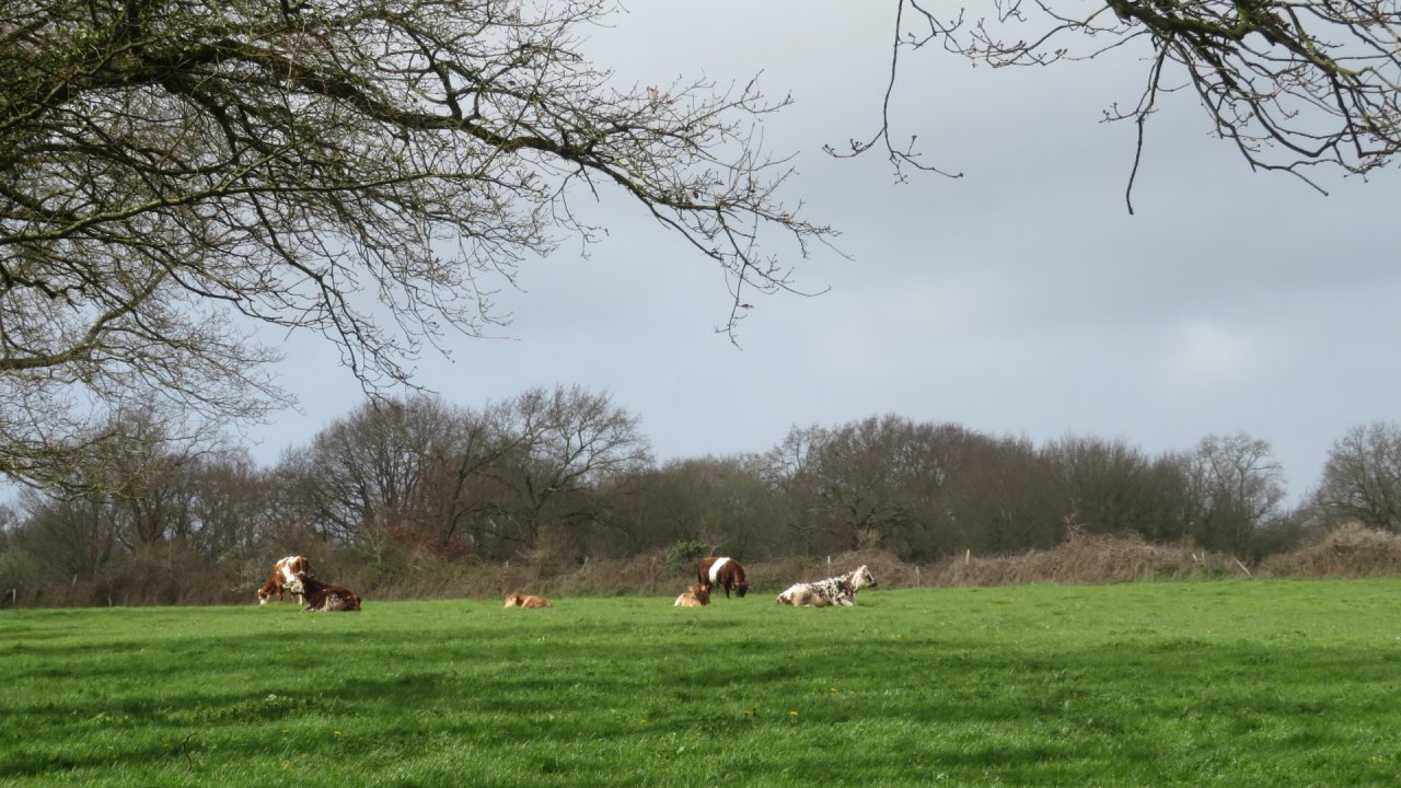 photo du diaporama