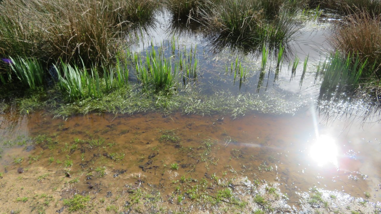 photo du diaporama