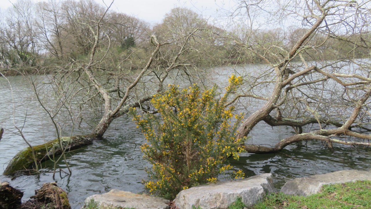 photo du diaporama