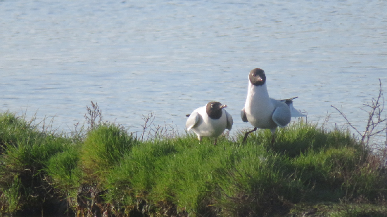 photo de la randonn�e