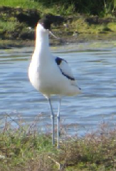 acc�s au diaporama de la randonn�e