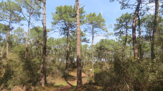 photo de la randonn�e