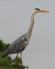 acc�s au diaporama de la randonn�e