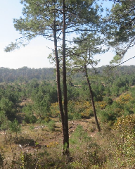 acc�s au diaporama de la randonn�e