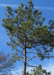 acc�s au diaporama de la randonn�e