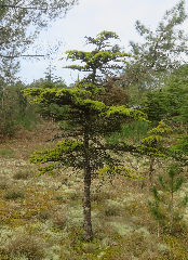 acc�s au diaporama de la randonn�e