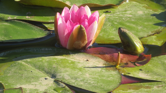 photo de la randonn�e