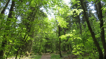 photo de la randonn�e