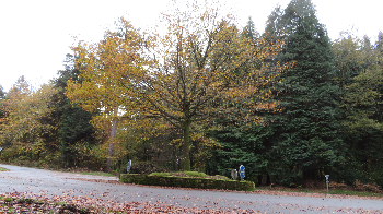 photo de la randonn�e