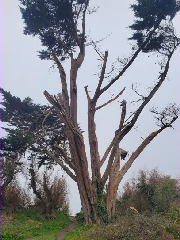 diaporama de la randonn�e