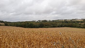 photo de la randonn�e