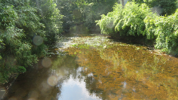 photo de la randonn�e