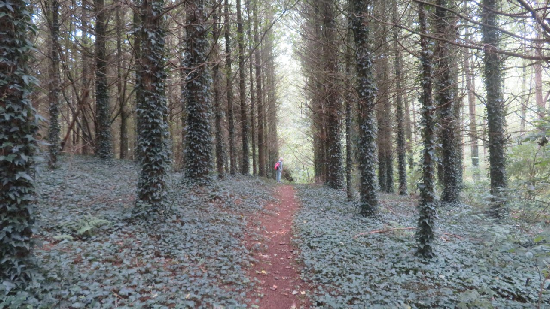 photo de la randonn�e