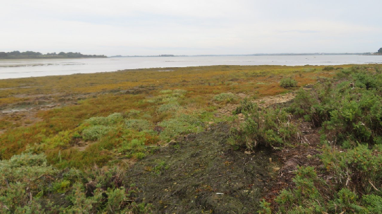 photo de la randonn�e