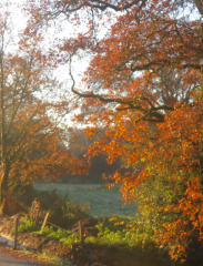 diaporama de la randonn�e