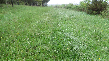 photo de la randonn�e