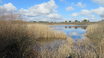 photo de la randonn�e