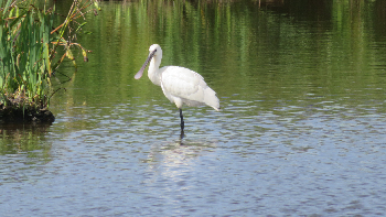 photo de la randonn�e