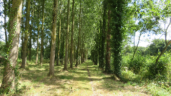 photo de la randonn�e